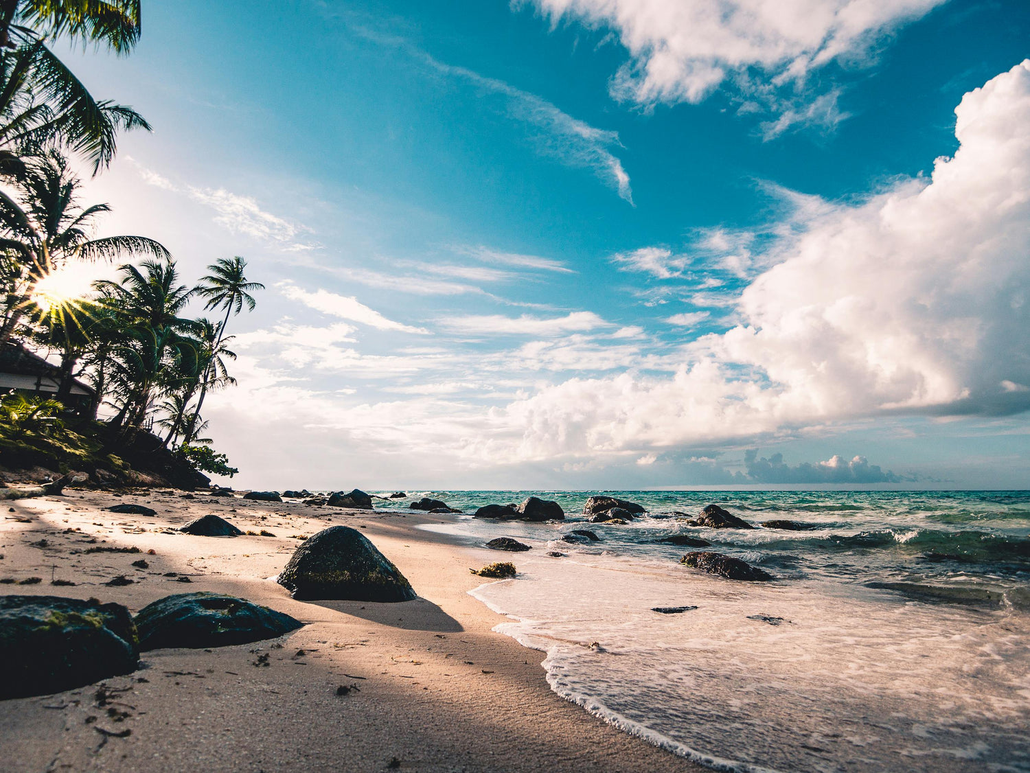 Picture of a shore on a tropical beach